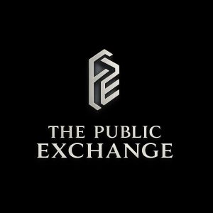 The Public Exchange Logo 1